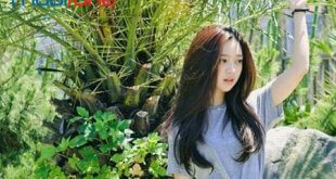 Cách đăng ký gói cước 3Z70 Mobifone có ngay 3 tháng sử dụng