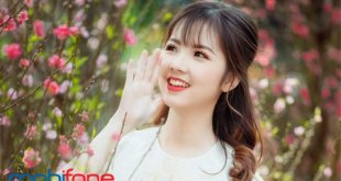 Đăng ký các gói cước HD120 Mobifone chu kỳ dài ưu đãi tăng thêm