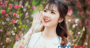 Các gói cước MAX90 Mobifone chu kỳ dài đang được triển khai