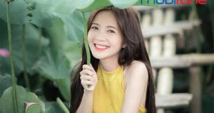 Cách hủy gói cước FD50 Mobifone đơn giản và nhanh nhất