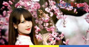 Đăng ký gói cước 12ED100 MobiFone ưu đãi 720GB học online thả ga 1 năm