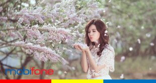 Điều chỉnh gói cước C290 Mobifone lên 6GB/ngày và 290 phút ngoại mạng