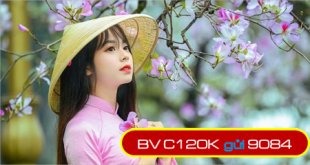 Các gói cước C120K Mobifone chu kỳ dài đang được cung cấp